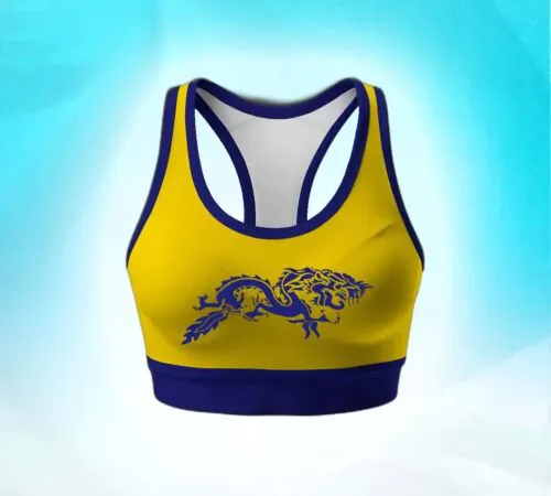 Sports Bra-Bold Yellow &amp; Blue-XXL