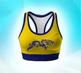 Sports Bra-Bold Yellow &amp; Blue-L